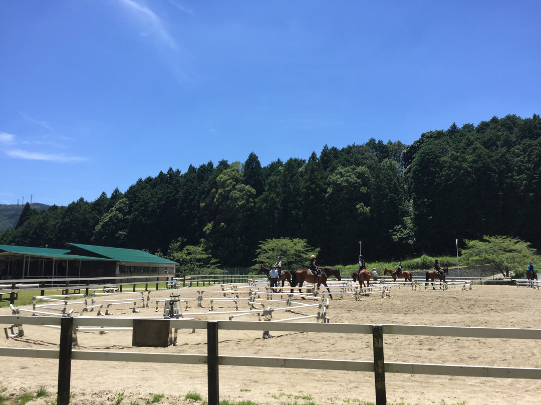 Horse Riding Club Crane Osaka景点图片