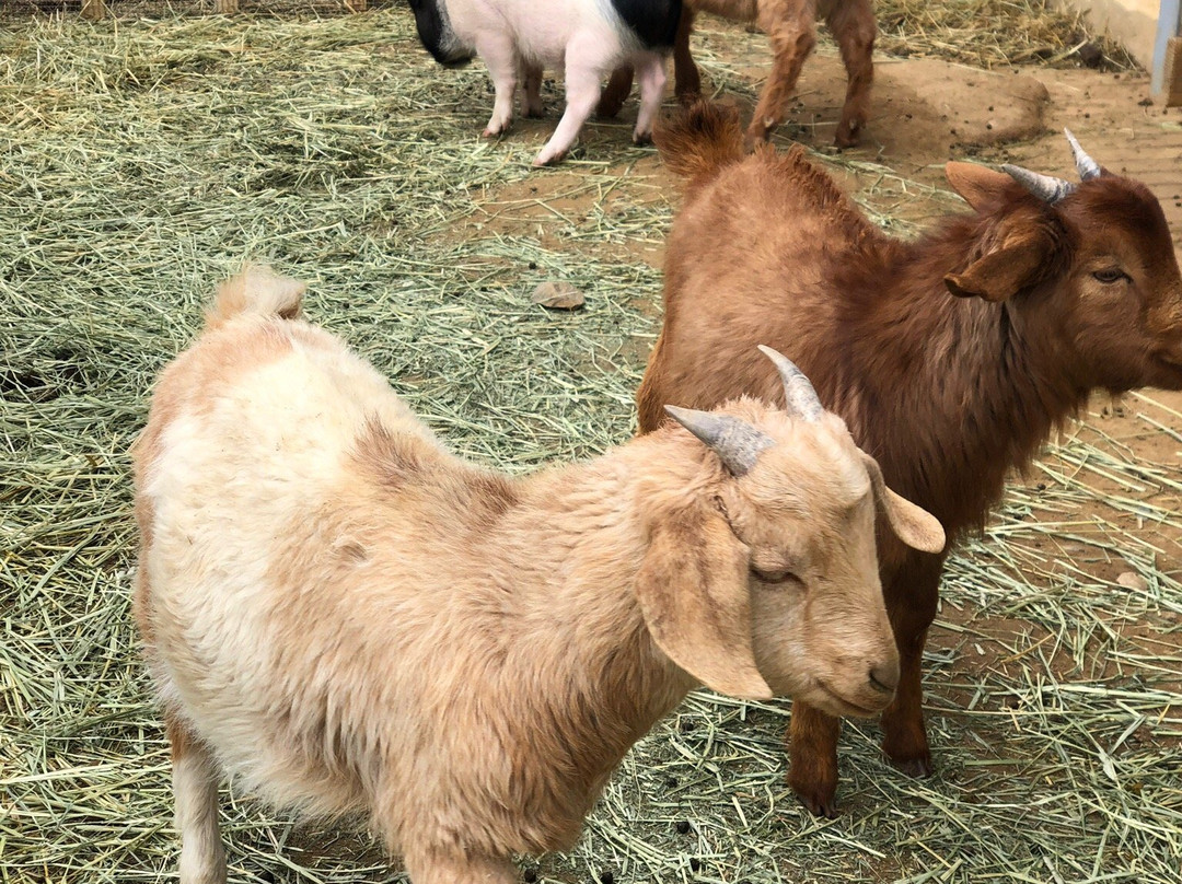 Seowoon Park-抱川市必去景点