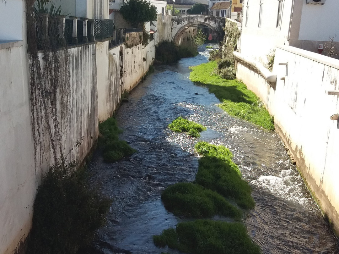 Jardim do Amor景点图片