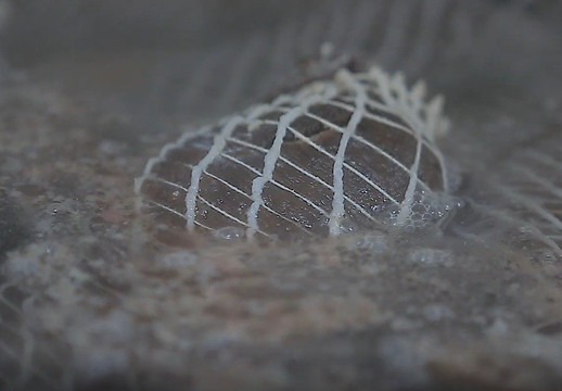 Jacky Leduc-Le Teilleul必去景点