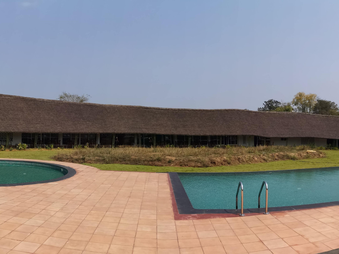 Red Earth Tadoba主图