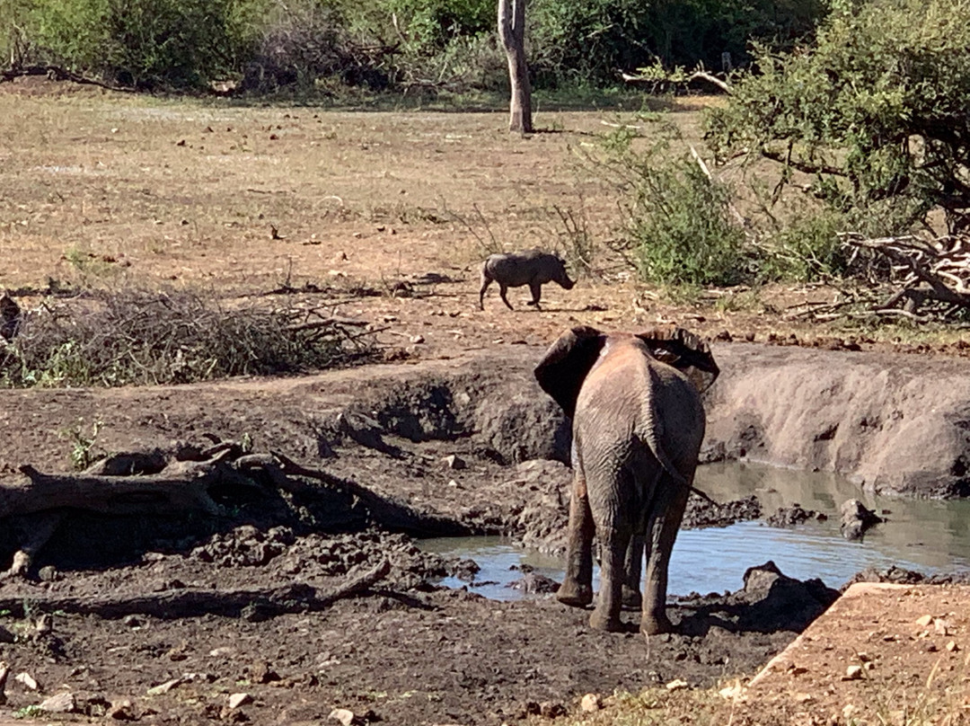因博迪莫游戏小屋主图