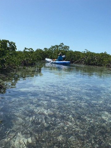Turks Aqua Adventures-格雷斯湾必去景点