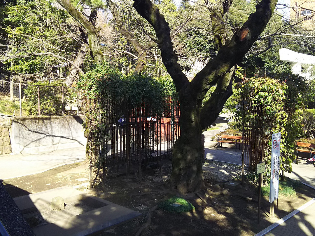 Nogi Park-Akasaka必去景点