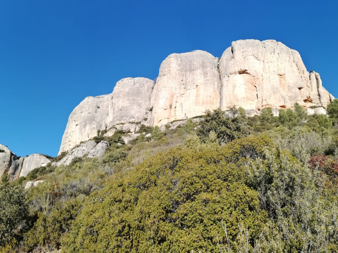 Parc Natural de la Serra de Montsant景点图片