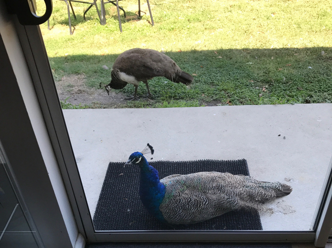 Blue Tree Honey Farm-Dumbalk必去景点