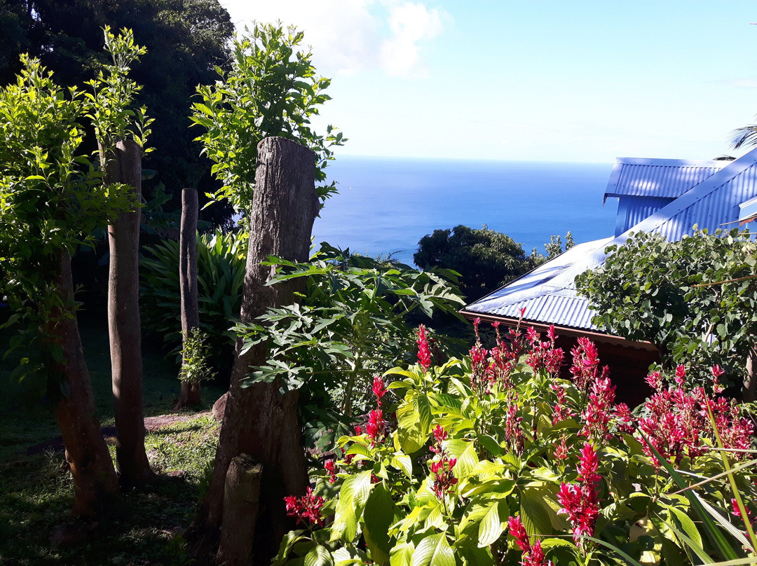 Villa Rose Caraibes主图