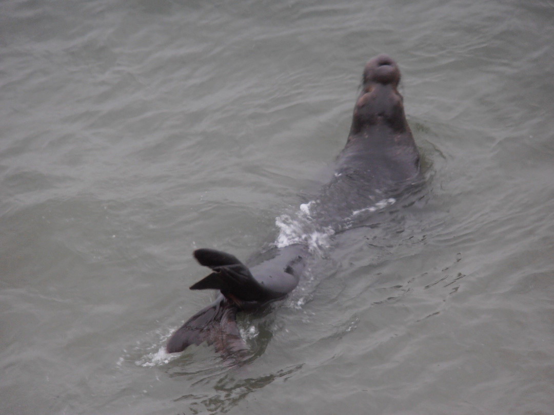 Chimney Rock Trail-红杉&国王峡谷国家公园必去景点