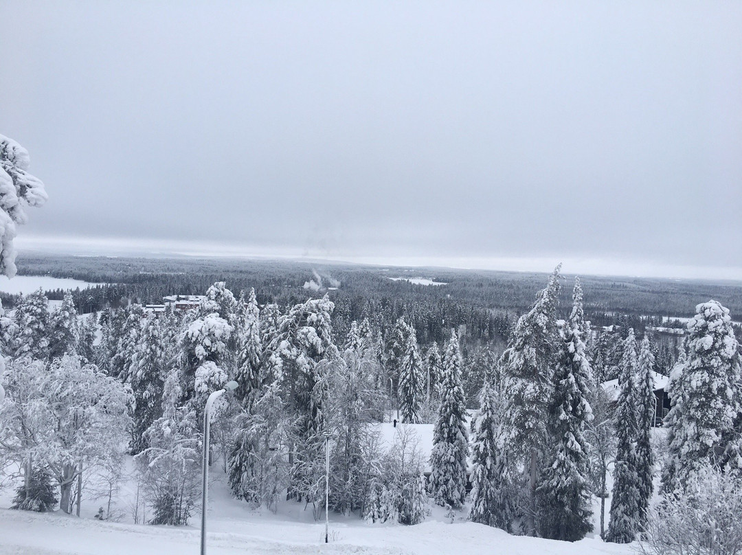 SKI-INN Rukasuites Apartments主图