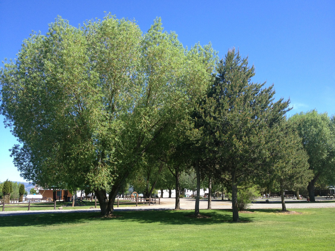 Winchester RV Resort & Campground