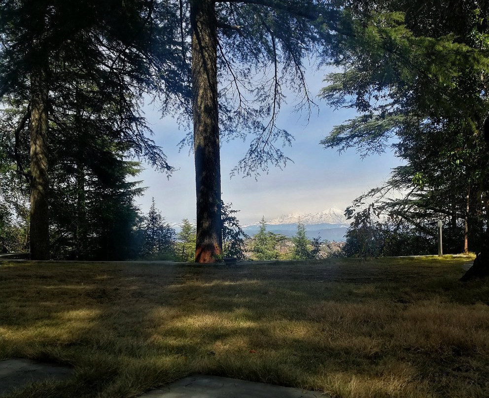 AyurVAID Kalmatia主图