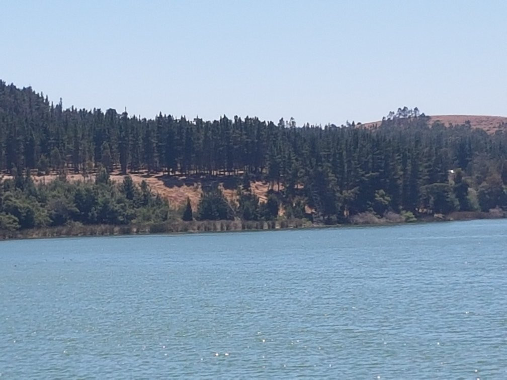 Reserva Nacional Laguna Torca-Llico必去景点
