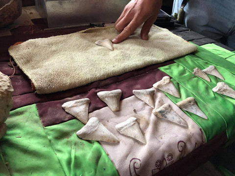 Baja Sur Tours-拉巴斯必去景点