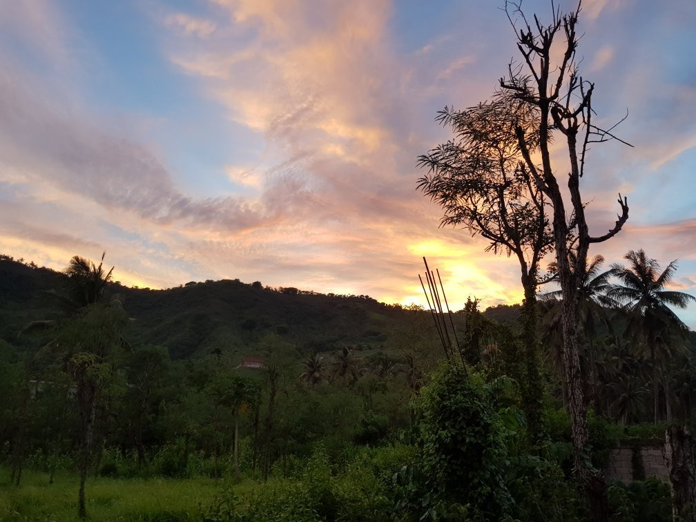 Same Same Bungalows主图