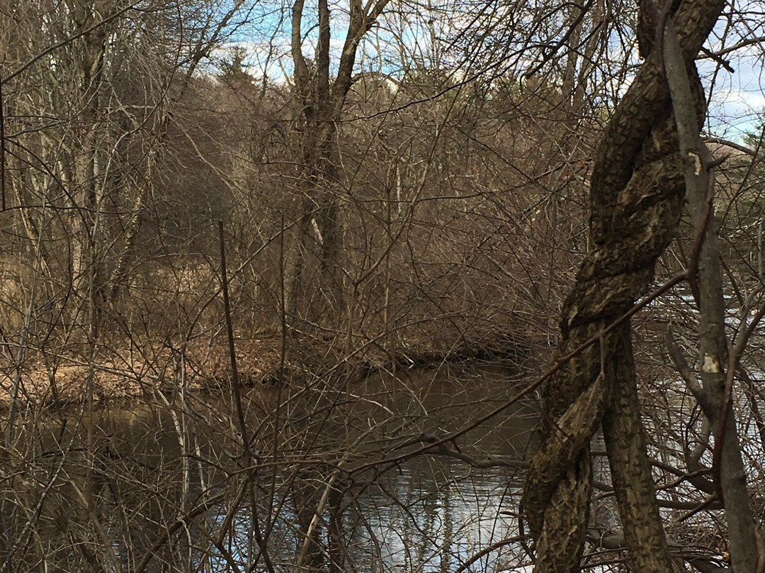 Stanley Park-Westfield必去景点