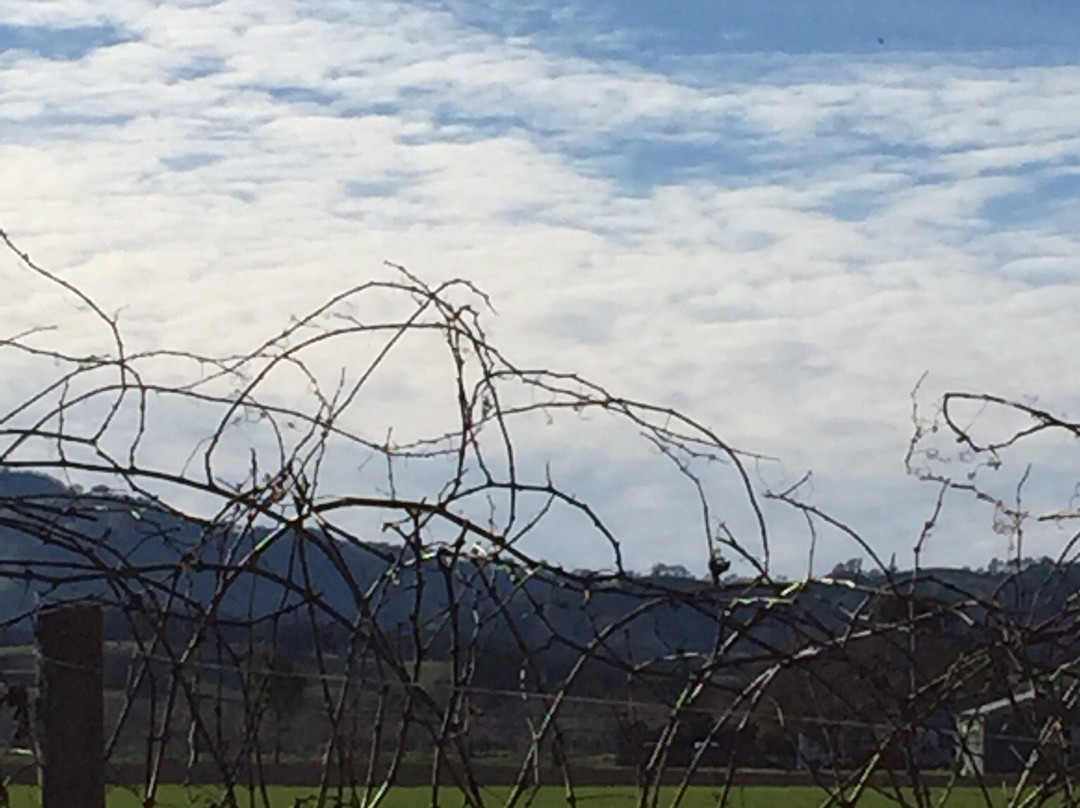 Berryessa Brewing Company-Winters必去景点