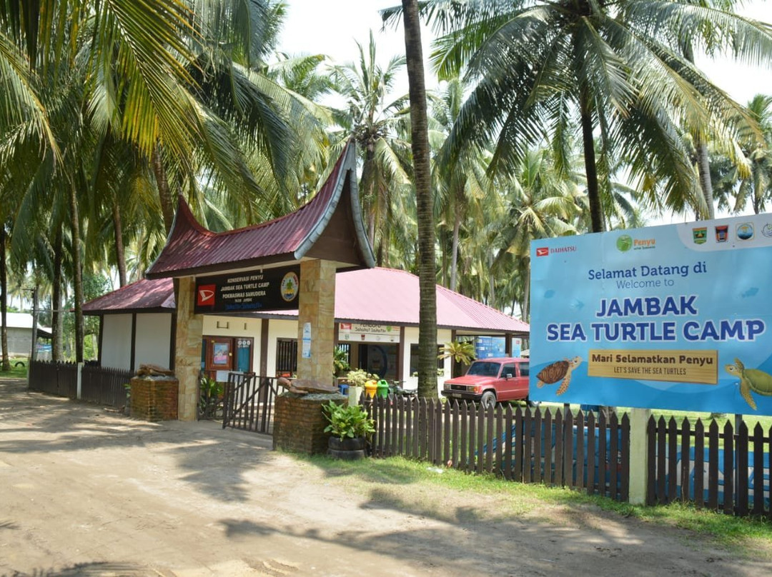 Jambak Sea Turtle Camp景点图片