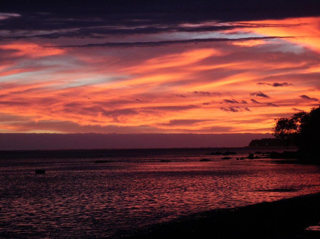 Reef Explorer Fiji-辛加东卡必去景点