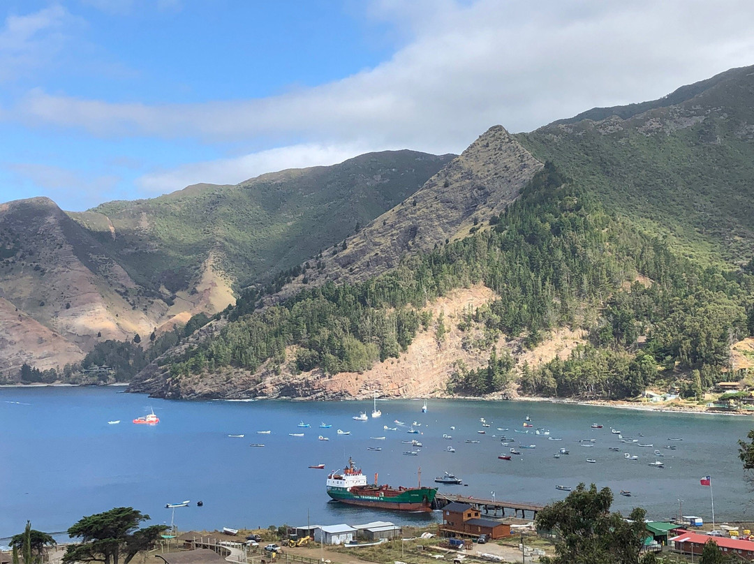 Isla Robinson Crusoe旅游景点-Cerveza Artesana Archipielago