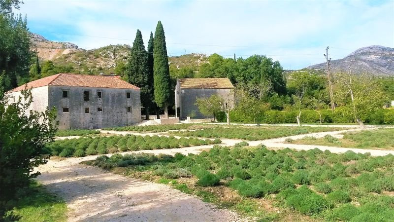 Cibaca旅游攻略图片