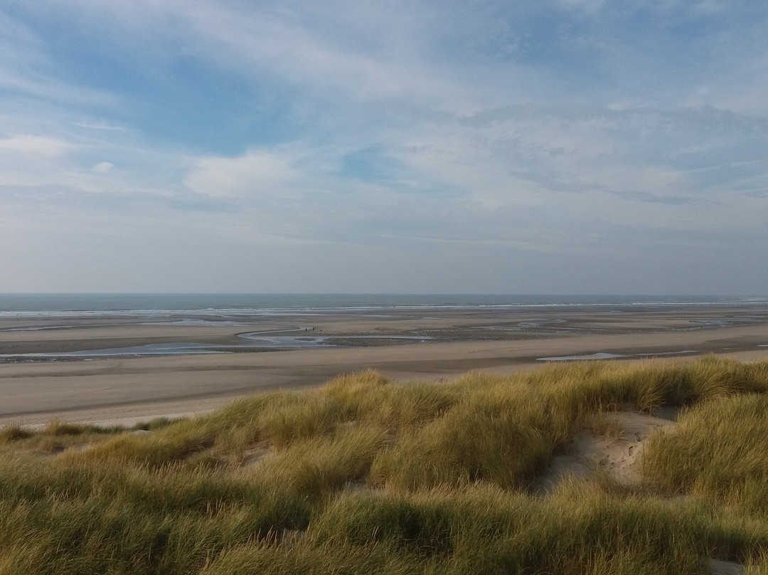 Visiter la baie de Somme景点图片