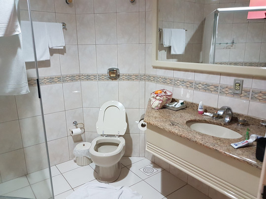 Sao Joao Palace Hotel主图