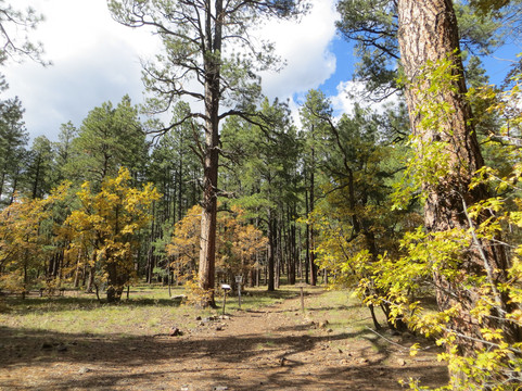 Dairy Springs Campground主图