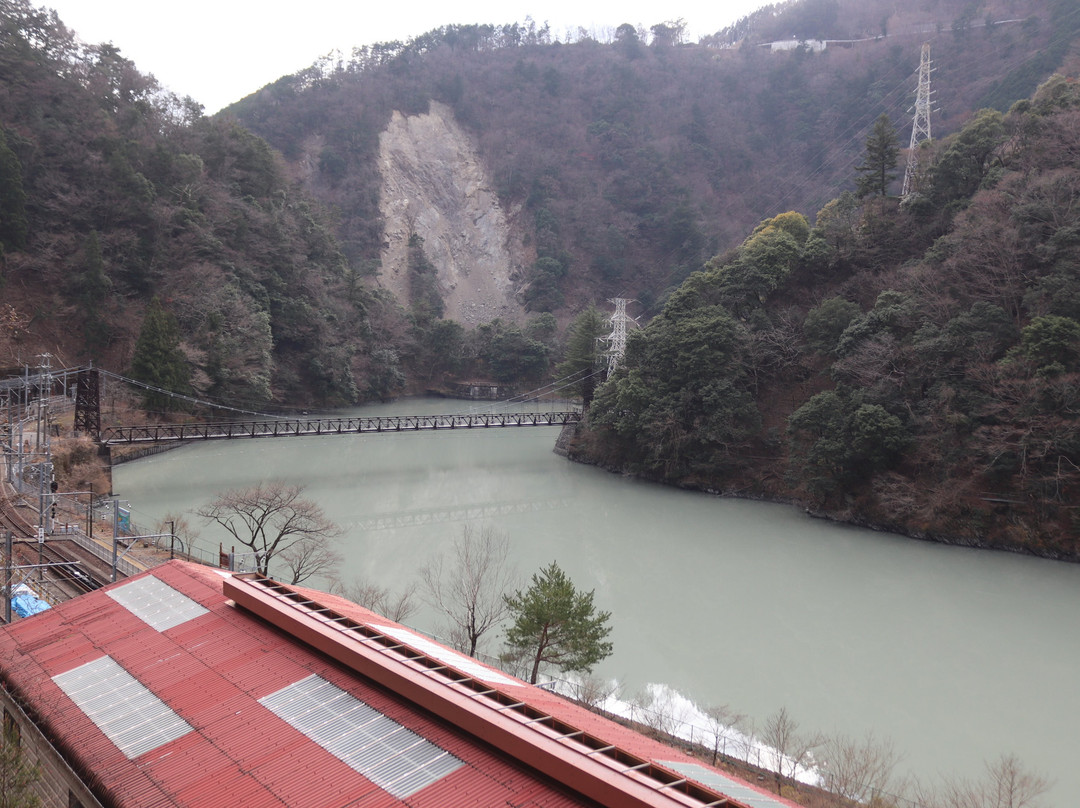 Ichiyo Suspension Bridge景点图片