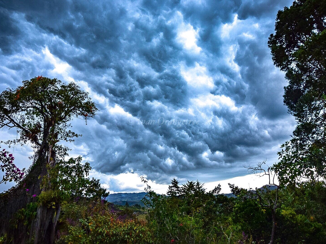 Hacienda Anacaona主图