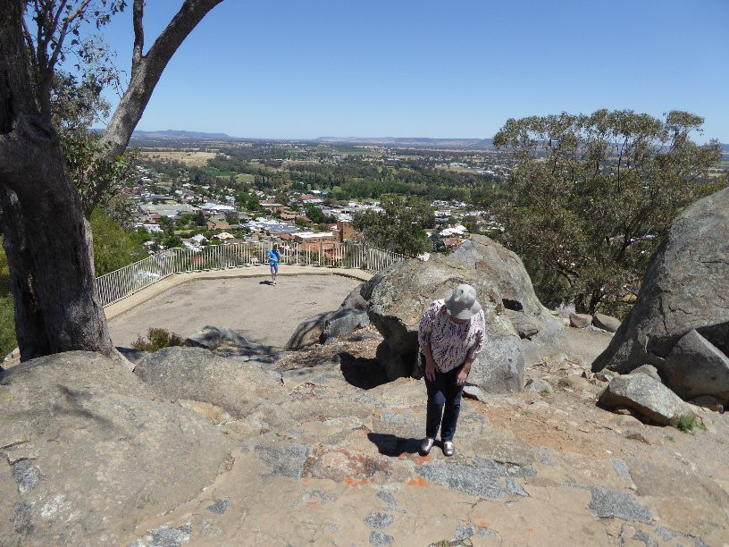 Bellevue Hill Reserve and Lookout景点图片