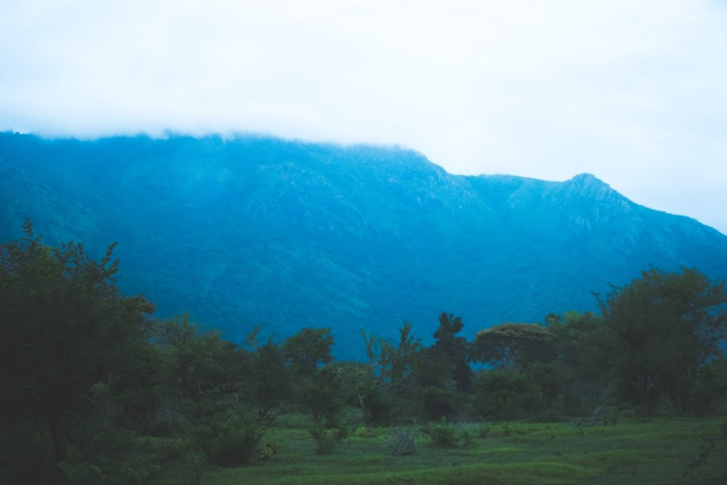 Secret Ivory Farm & Guest House主图