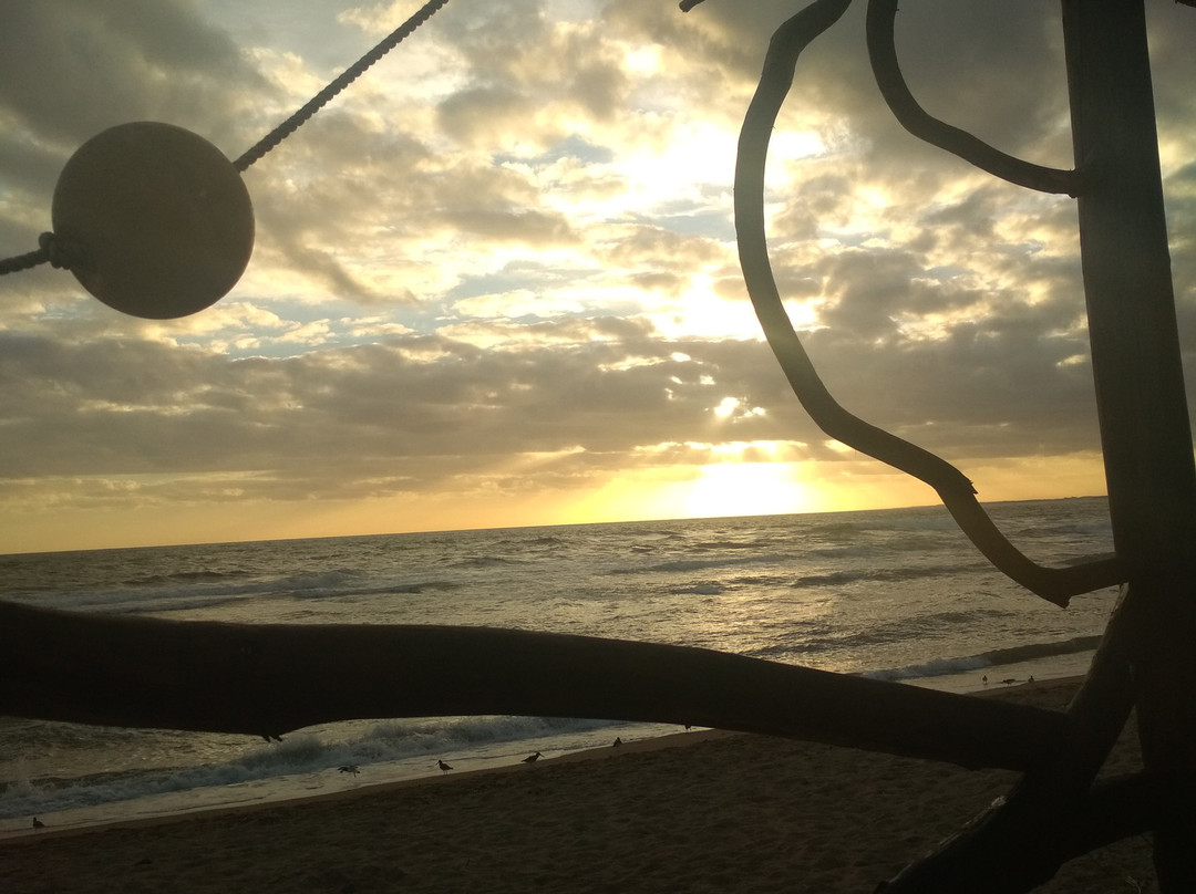 Playa Los Botes-La Paloma必去景点