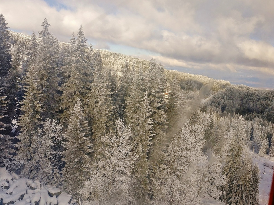 Vitosha Mountain景点图片