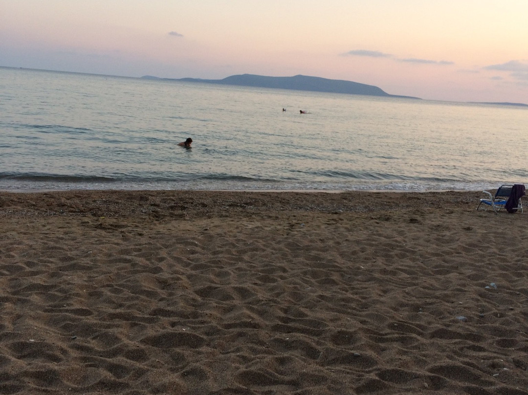 Hotel Korakakis Beach主图