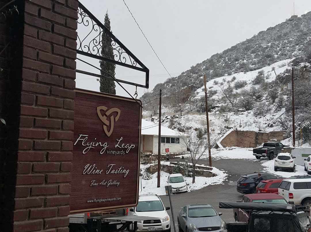 Flying Leap Vineyards Tasting Room & Fine Arts Gallery景点图片