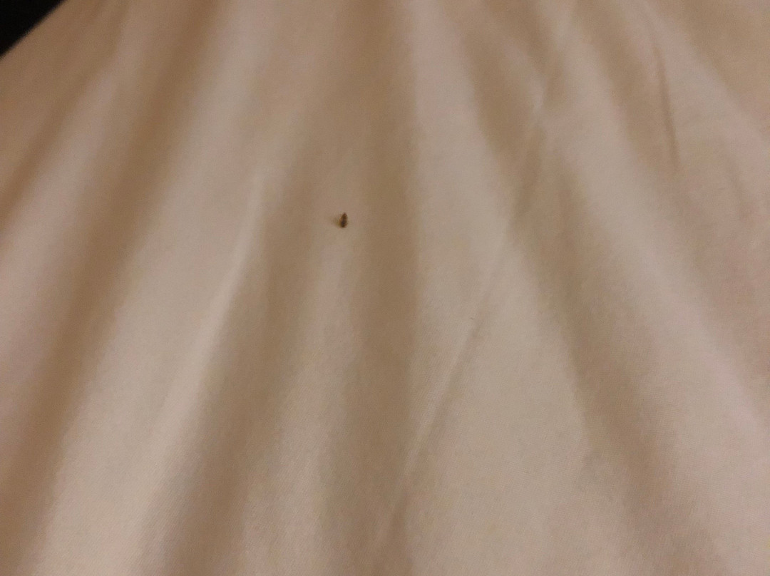 贝斯特韦斯特桃花酒店主图