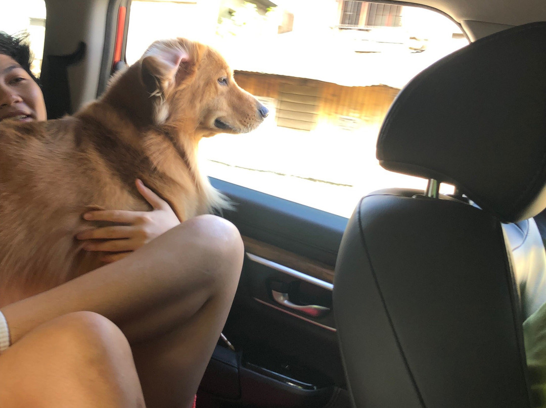 Virac Town Center-Virac必去景点