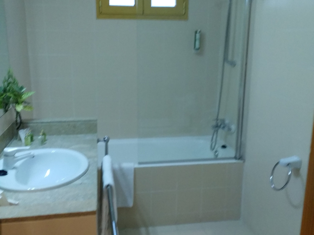 Hotel L'Estacio主图