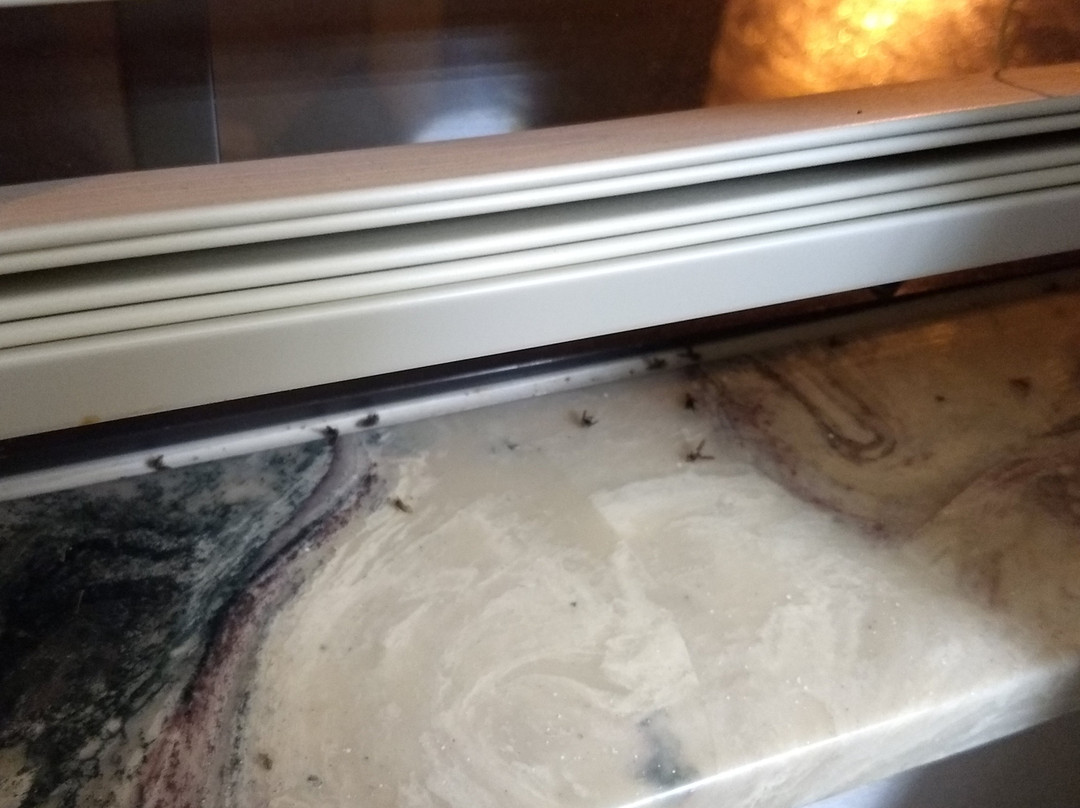 Knights Inn West Memphis主图