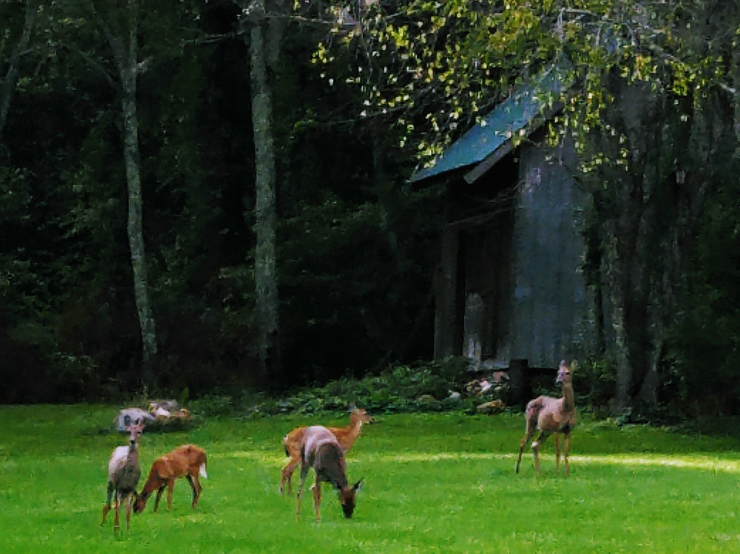 StoneHaven Bed and Breakfast主图