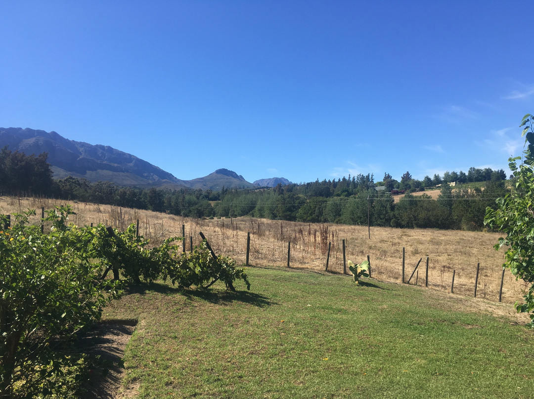 Oude Wellington Estate主图