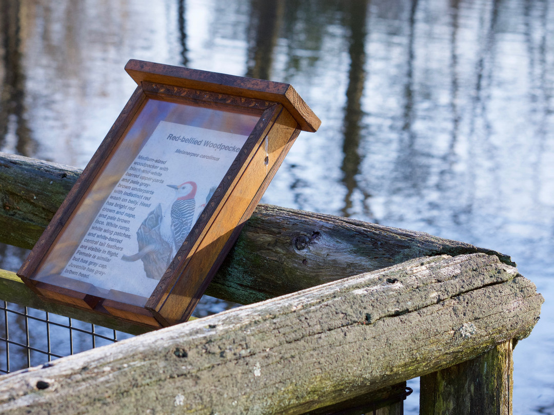 Connecticut Audubon Society Birdcraft Museum and Sanctuary-费尔菲尔德必去景点