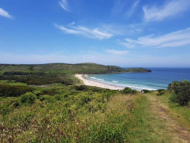 Killalea Regional Park景点图片