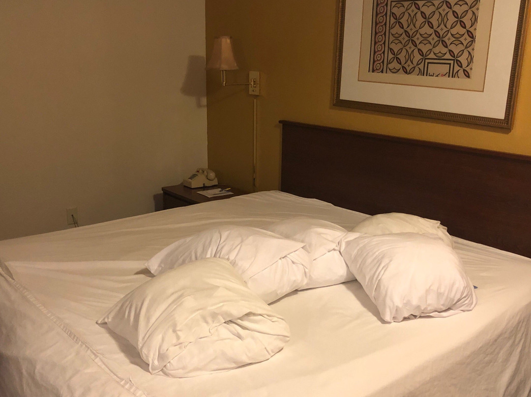 Augusta酒店住宿-Days Inn by Wyndham Andover