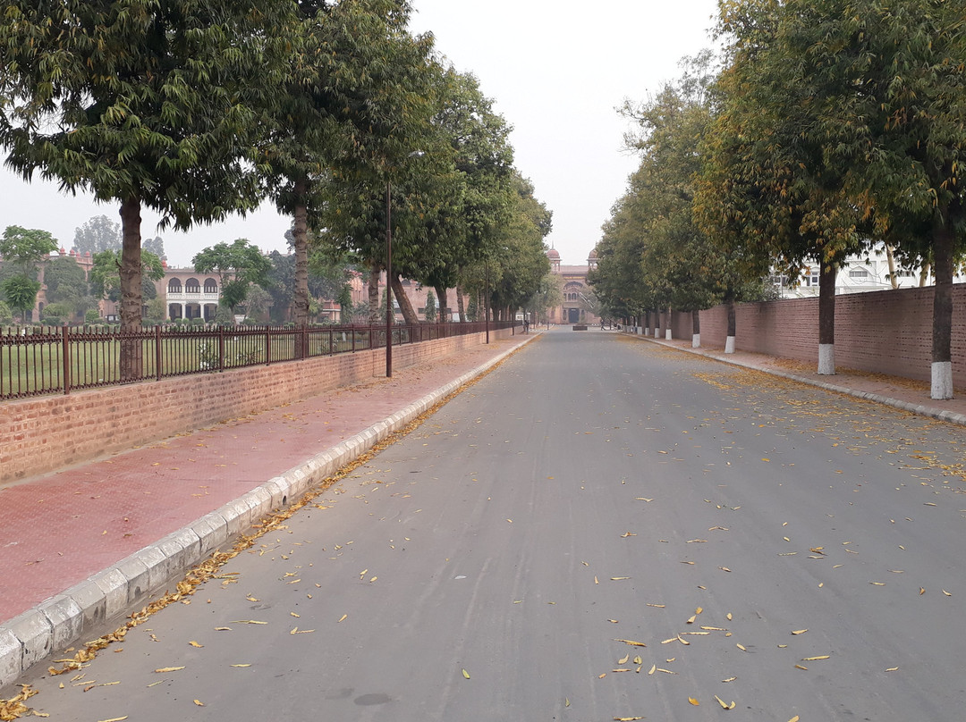 Guru Nanak Dev University-阿姆利则必去景点