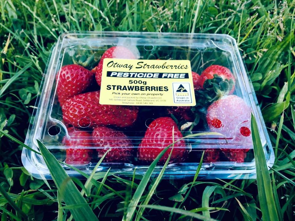 Otway Strawberries-Gellibrand必去景点