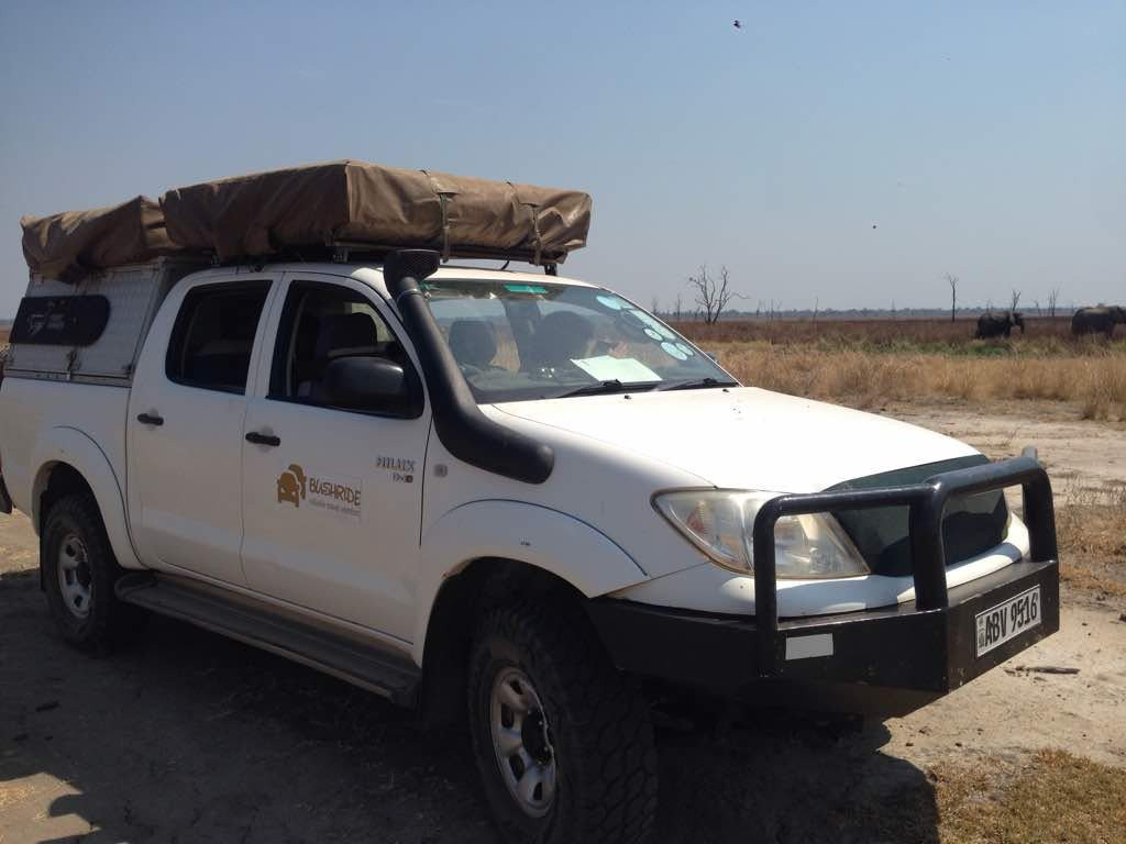 North Luangwa National Park旅游攻略图片