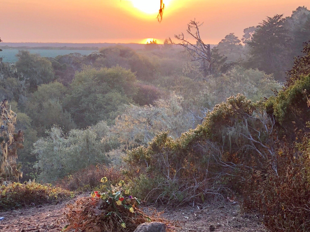 Ghost Town of Purissima-半月湾必去景点