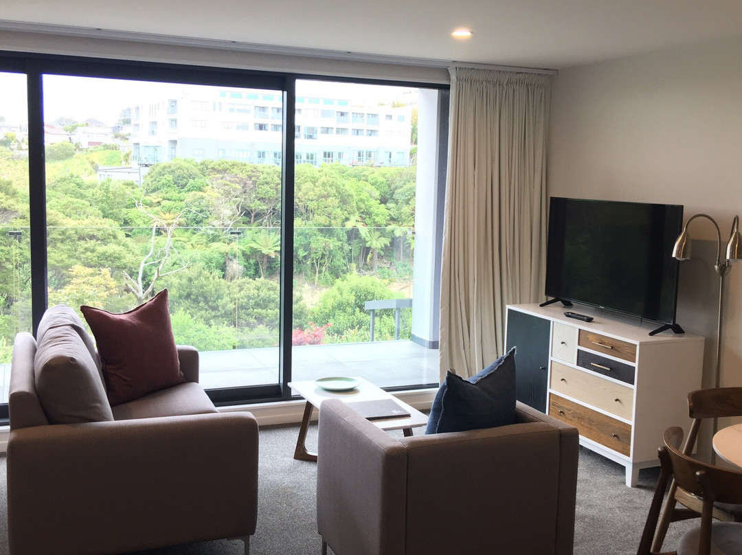 Fernz Motel & Apartments Birkenhead主图