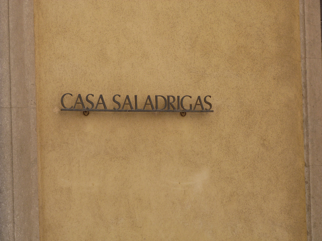 Casa Saladrigas景点图片